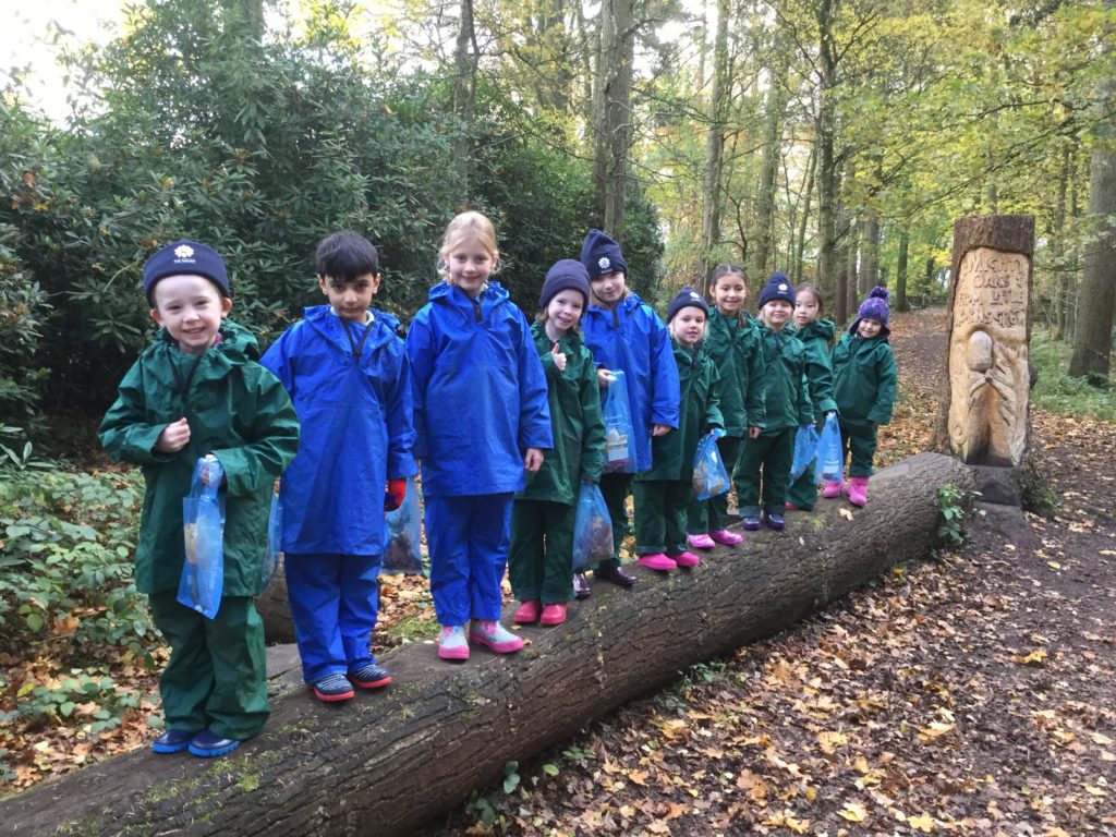 The Mount Forest School The Mount School