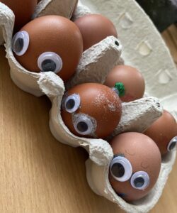 eggs in their carton, decorated with googly eyes to give the appearance of faces